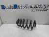 Rear coil spring from a Seat Exeo ST (3R5) 1.8 TSI 16V 2012
