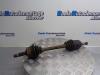 Front drive shaft, left from a Fiat Seicento (187), 1997 / 2010 1.1 S,SX,Sporting,Hobby,Young, Hatchback, Petrol, 1.108cc, 40kW (54pk), FWD, 176B2000; 187A1000, 1998-01 / 2010-01 2003