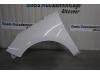 Ford Fiesta 7 1.1 Ti-VCT 12V 70 Front wing, left