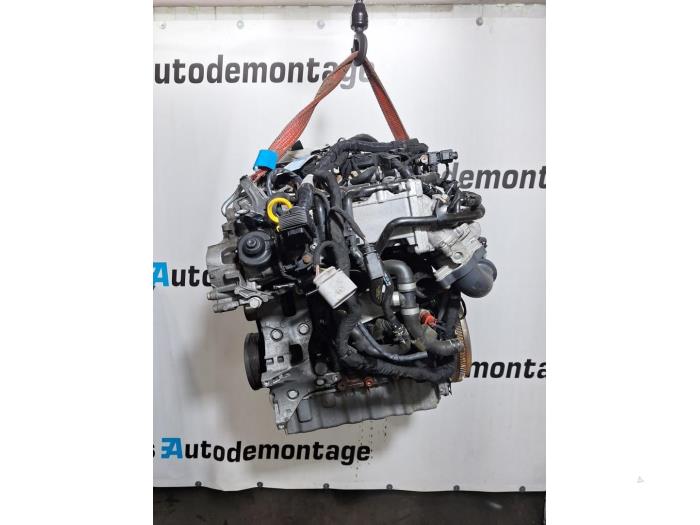 Engine Volkswagen Caddy IV 2.0 TDI 102 - DFSD