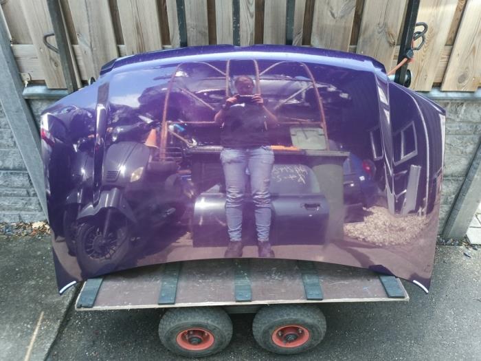 Używane Maska Fiat Panda (169) 1.2, Classic Cena € 90,00 Procedura marży oferowane przez Autobedrijf Hoogerwerf