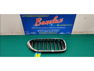 Used Grille BMW 5 serie (G30) 523d 2.0 TwinPower Turbo 16V Price on request offered by Benelux Zwijndrecht B.V.