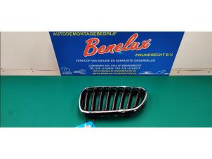 Used Grille BMW 2 serie (F22) 218d 2.0 16V Price on request offered by Benelux Zwijndrecht B.V.