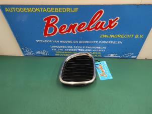 Used Grille BMW Z3 Roadster (E36/7) 1.9 16V Price on request offered by Benelux Zwijndrecht B.V.