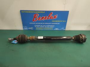 Used Front drive shaft, right Volkswagen Golf VI (5K1) 1.4 TSI 160 16V Price on request offered by Benelux Zwijndrecht B.V.