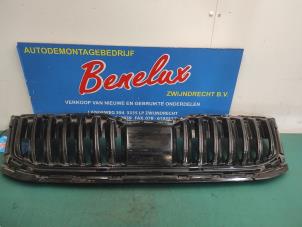 Used Grille Skoda Octavia Combi (5EAC) 1.2 TSI 16V Price on request offered by Benelux Zwijndrecht B.V.