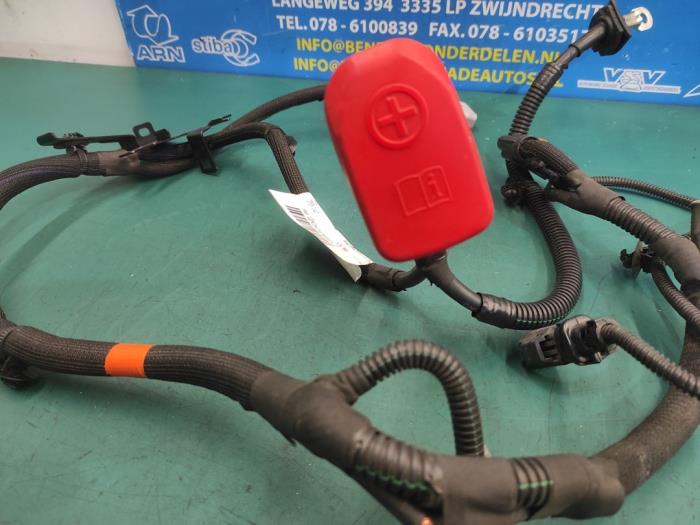 Wiring harness Opel Vivaro 2.0 Diesel 145 - 9820098980