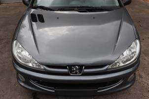 Used Front end, complete Peugeot 206 (2A/C/H/J/S) 1.4 XR,XS,XT,Gentry Price on request offered by Benelux Zwijndrecht B.V.
