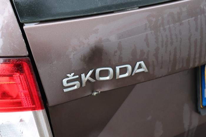 Portón trasero de un Skoda Octavia Combi (5EAC) 1.6 TDI Greenline 16V 2016