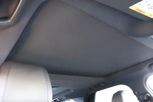 Used Panoramic roof Landrover Discovery V (LR) 3.0 sdv6 24V Price on request offered by Benelux Zwijndrecht B.V.
