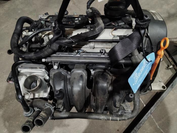 Bky Engine Engine Volkswagen Polo IV 1.4 16V 75 - 036100104SX BKY