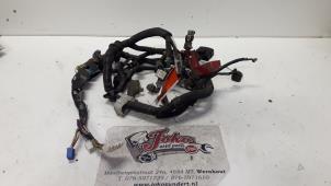 Used Wiring harness Toyota Starlet (EP9) 1.3,XLi,GLi 16V Price on request offered by Autodemontage Joko B.V.