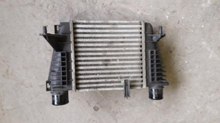 Usados Intercooler Renault Clio III (BR/CR) 1.5 dCi 70 Precio de solicitud ofrecido por Autodemontage Joko B.V.