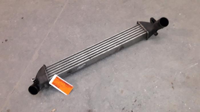 Usagé Intercooler Renault Clio II Societe (SB) 1.5 dCi 68 Prix sur demande proposé par Autodemontage Joko B.V.