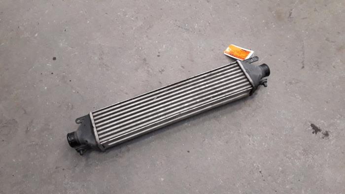 Usados Intercooler Fiat Punto Evo (199) 1.6 JTD Multijet 16V Euro 5 DPF Precio de solicitud ofrecido por Autodemontage Joko B.V.