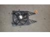 Volkswagen Polo IV (9N1/2/3) 1.4 TDI 80 Cooling fans