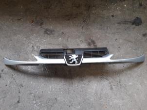 Used Grille Peugeot 206 (2A/C/H/J/S) 1.6 16V Price on request offered by Autodemontage Joko B.V.