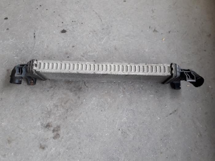 Intercooler Ford Focus 2, 2004 / 2012 1.6 TDCi 16V 90, Berline avec hayon arrière, Diesel, 1.560cc, 66kW (90pk), FWD, HHDA; HHDB; EURO4; GPDA; GPDC, 2005-01 / 2012-09 (Occasion)