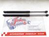 Rear gas strut, left from a Volkswagen Scirocco (137/13AD), 2008 / 2017 1.4 TSI 160 16V, Hatchback, 2-dr, Petrol, 1.390cc, 118kW (160pk), FWD, CAVD, 2008-08 / 2012-10 2009