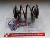 Rear coil spring from a BMW 3 serie (E46/2) 320 Cd 16V 2004