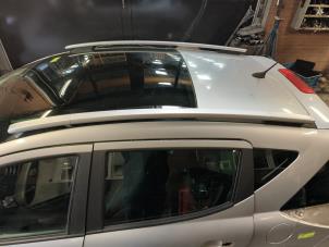 Usados Raíl de techo izquierda Peugeot 207 SW (WE/WU) 1.6 16V Precio de solicitud ofrecido por Autodemontage Joko B.V.
