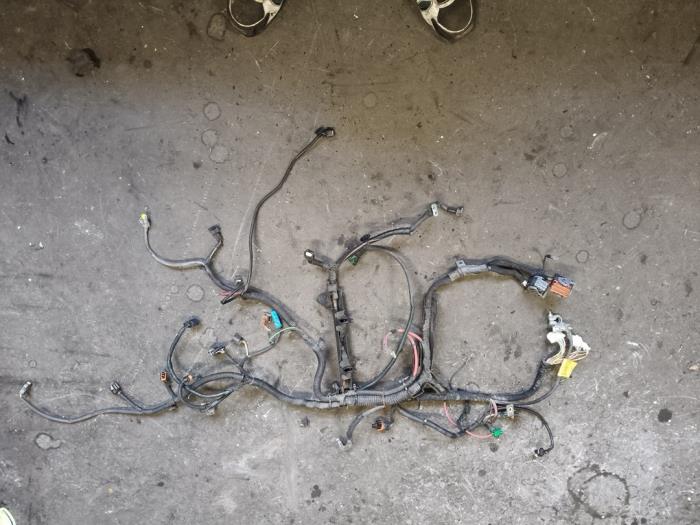 Gebrauchte Kabelbaum Renault Clio III (BR/CR) 1.2 16V TCe 100 Preis auf Anfrage angeboten von Autodemontage Joko B.V.