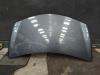 Renault Clio III (BR/CR) 1.2 16V TCe 100 Motorhaube