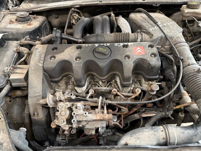 Gebrauchte Motor Citroen Saxo 1.5 D Preis auf Anfrage angeboten von Autodemontage Joko B.V.
