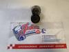 Opel Meriva (B) 1.3 CDTI 16V Spanrolle multiriem