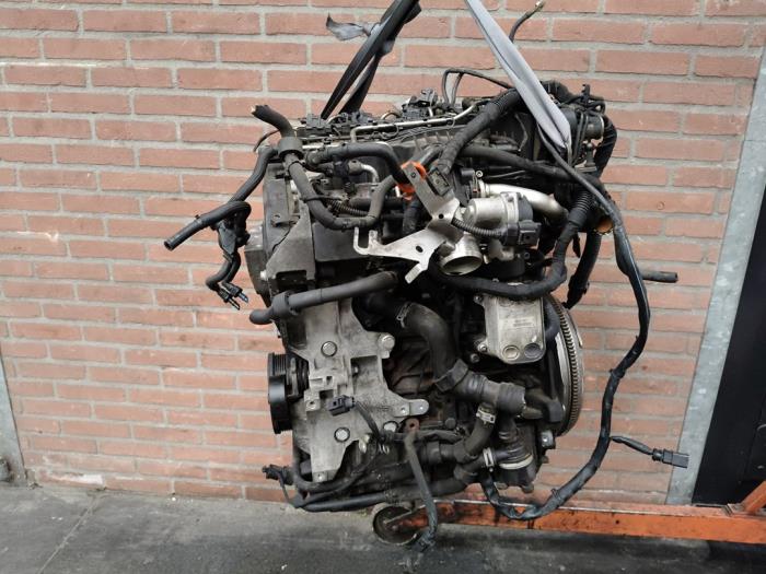 Używane Silnik Volkswagen Polo V (6R) 1.6 TDI 16V 90 Cena na żądanie oferowane przez Autodemontage Joko B.V.