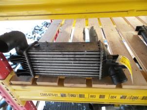 Used Intercooler Peugeot 607 (9D/U) 2.0 HDi FAP Price on request offered by Autodemontage Joko B.V.