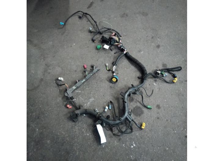 Gebrauchte Kabelbaum Peugeot 607 (9D/U) 2.0 HDi FAP Preis auf Anfrage angeboten von Autodemontage Joko B.V.
