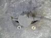 Fiat Stilo (192A/B) 2.4 20V Abarth 3-Drs. Bremszange rechts vorne
