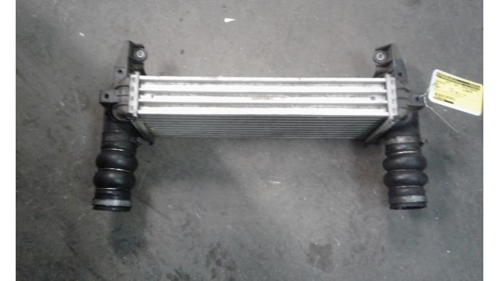 Usados Intercooler Ford Transit Connect 1.8 TDCi 90 DPF Precio de solicitud ofrecido por Autodemontage Joko B.V.