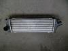 Intercooler from a Renault Trafic New (FL), 2001 / 2014 2.0 dCi 16V 115, Delivery, Diesel, 1.995cc, 84kW (114pk), FWD, M9R782, 2008-01 / 2014-06, FLAH; FLBH; FLFH; FLGH 2007