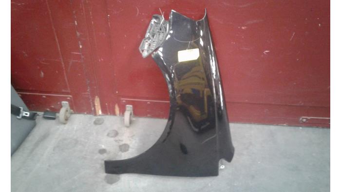 Front wing, left from a Volkswagen Polo IV (9N1/2/3) 1.2 2007