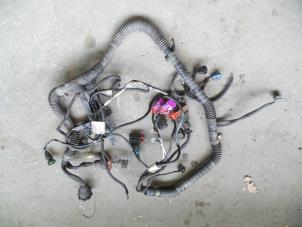 Used Wiring harness Fiat Scudo (220Z) 1.9 D Price on request offered by Autodemontage Joko B.V.