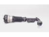 Front shock absorber rod, right from a Mercedes S (W220), 1998 / 2005 3.2 S-320 CDI 24V, Saloon, 4-dr, Diesel, 3.226cc, 145kW (197pk), RWD, OM613960, 1999-08 / 2002-09, 220.026; 220.126 2001