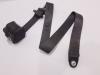 Rear seatbelt, left from a Iveco New Daily III, 1999 / 2007 29L10V, Delivery, Diesel, 2.287cc, 70kW (95pk), RWD, F1AE0481A, 2002-09 / 2007-07 2006