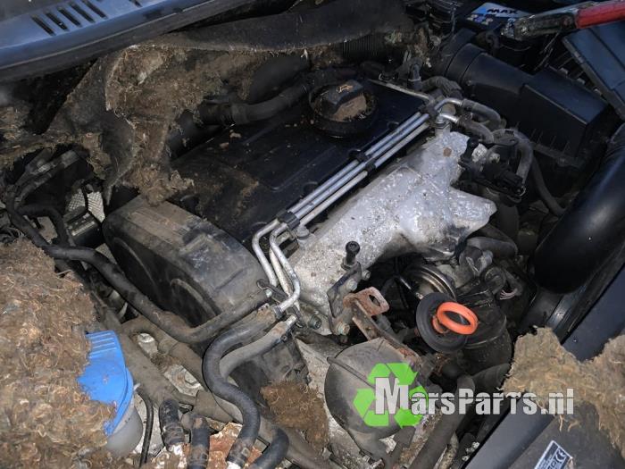 Engine Volkswagen Touran 2.0 TDI 16V 136 - 03G100098AX AZV