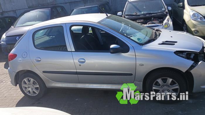 Używane Dach Peugeot 206+ (2L/M) 1.4 XS Cena € 250,00 Procedura marży oferowane przez Autodemontagebedrijf De Mars