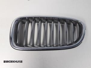 Used Grille BMW 5 serie Touring (F11) 520d 16V Price € 30,00 Margin scheme offered by Autobedrijf Broekhuis B.V.