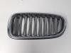 BMW 5 serie Touring (F11) 520d 16V Grille