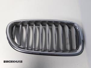 Used Grille BMW 5 serie Touring (F11) 520d 16V Price € 30,00 Margin scheme offered by Autobedrijf Broekhuis B.V.