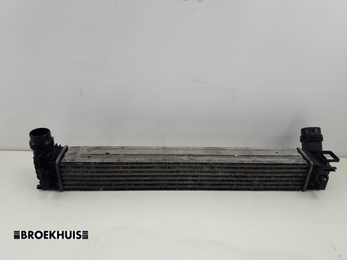 Usagé Intercooler Renault Megane III Grandtour (KZ) 1.5 dCi 110 Prix € 35,00 Règlement à la marge proposé par Autobedrijf Broekhuis B.V.