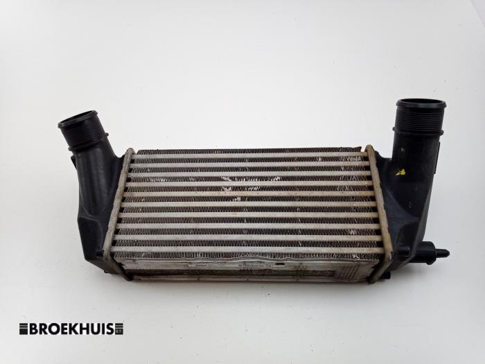 Usados Intercooler Ford EcoSport (JK8) 1.0 EcoBoost 12V 125 Precio € 45,00 Norma de margen ofrecido por Autobedrijf Broekhuis B.V.