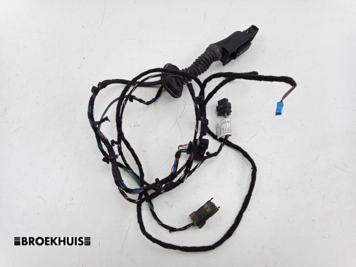 Front door wiring loom