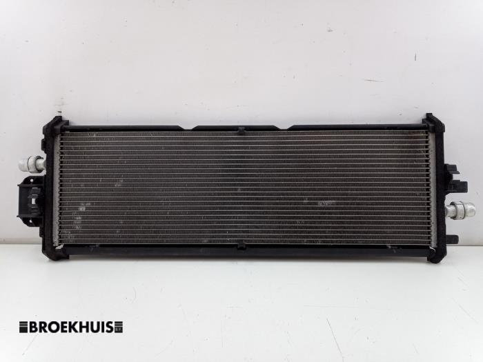 Usagé Radiateur Tesla Model 3 Long Range AWD 75 kWh Prix € 100,00 Règlement à la marge proposé par Autobedrijf Broekhuis B.V.