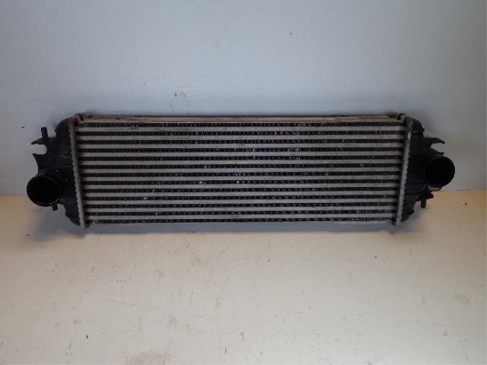 Usagé Intercooler Opel Vivaro 1.9 DTI 16V Prix € 30,00 Règlement à la marge proposé par Autobedrijf Broekhuis B.V.