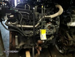 Używane Silnik Ford Fiesta 6 (JA8) 1.6 TDCi 16V 90 Van Cena € 450,00 Procedura marży oferowane przez Autobedrijf Broekhuis B.V.